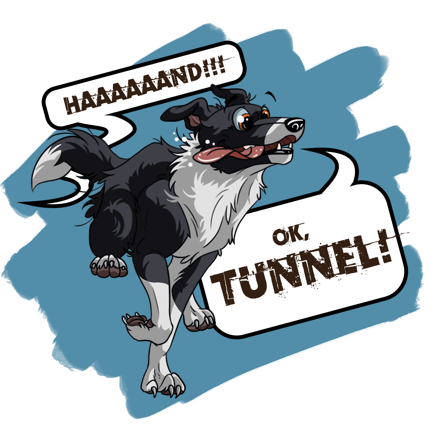 Niedlicher Border Collie in Aktion - ok, Tunnel!