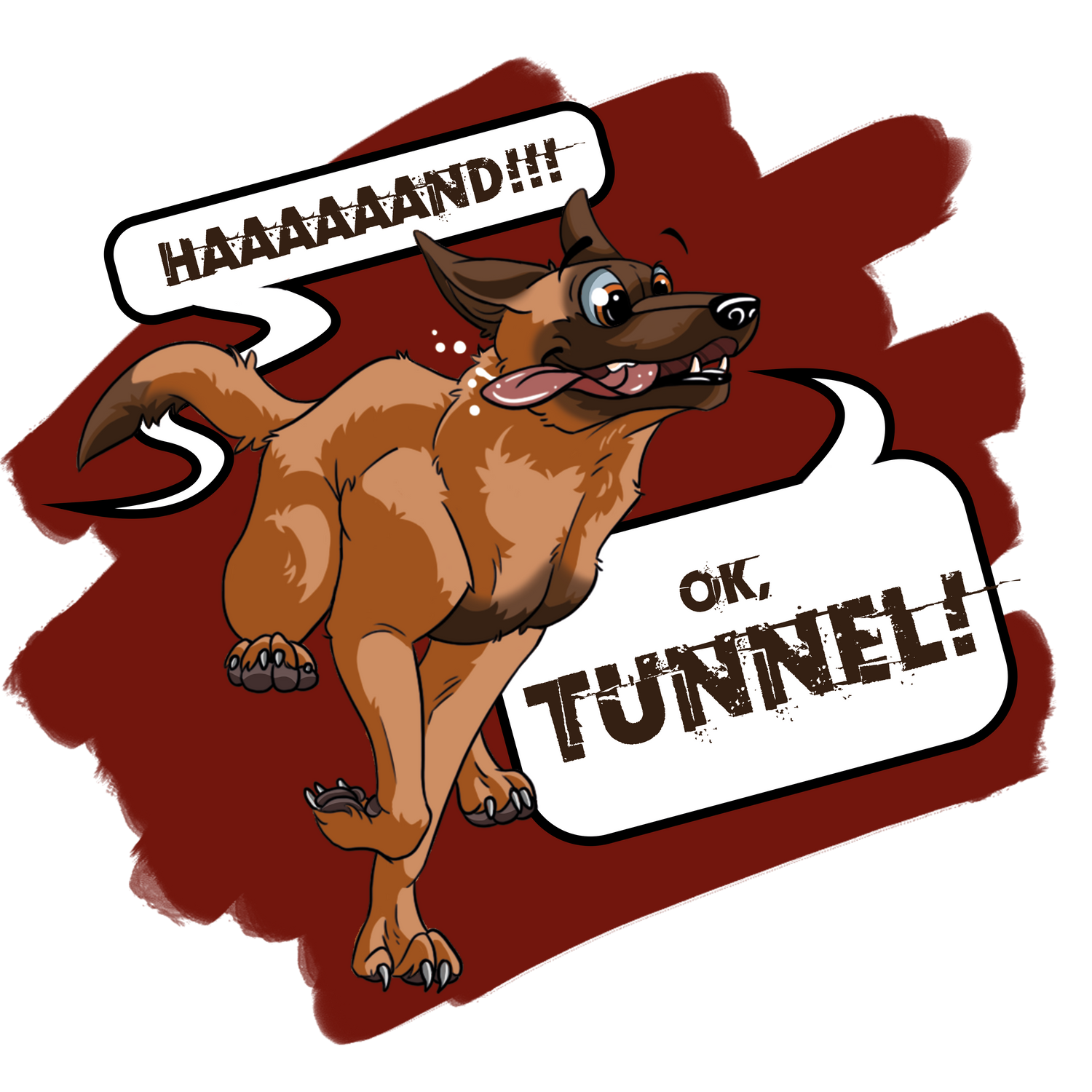 Lustiger Malinois-Hund in der Agility-Kategorie "Ok, Tunnel!"